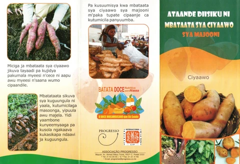 Sweet potato brochure outside